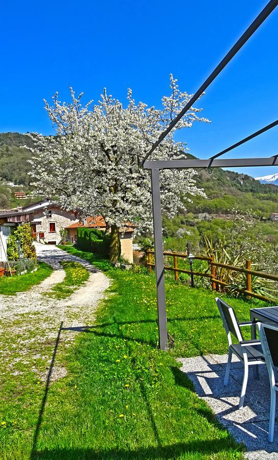 Casa Belvedere Garden By Gardadomusmea Tremosine Dış mekan fotoğraf