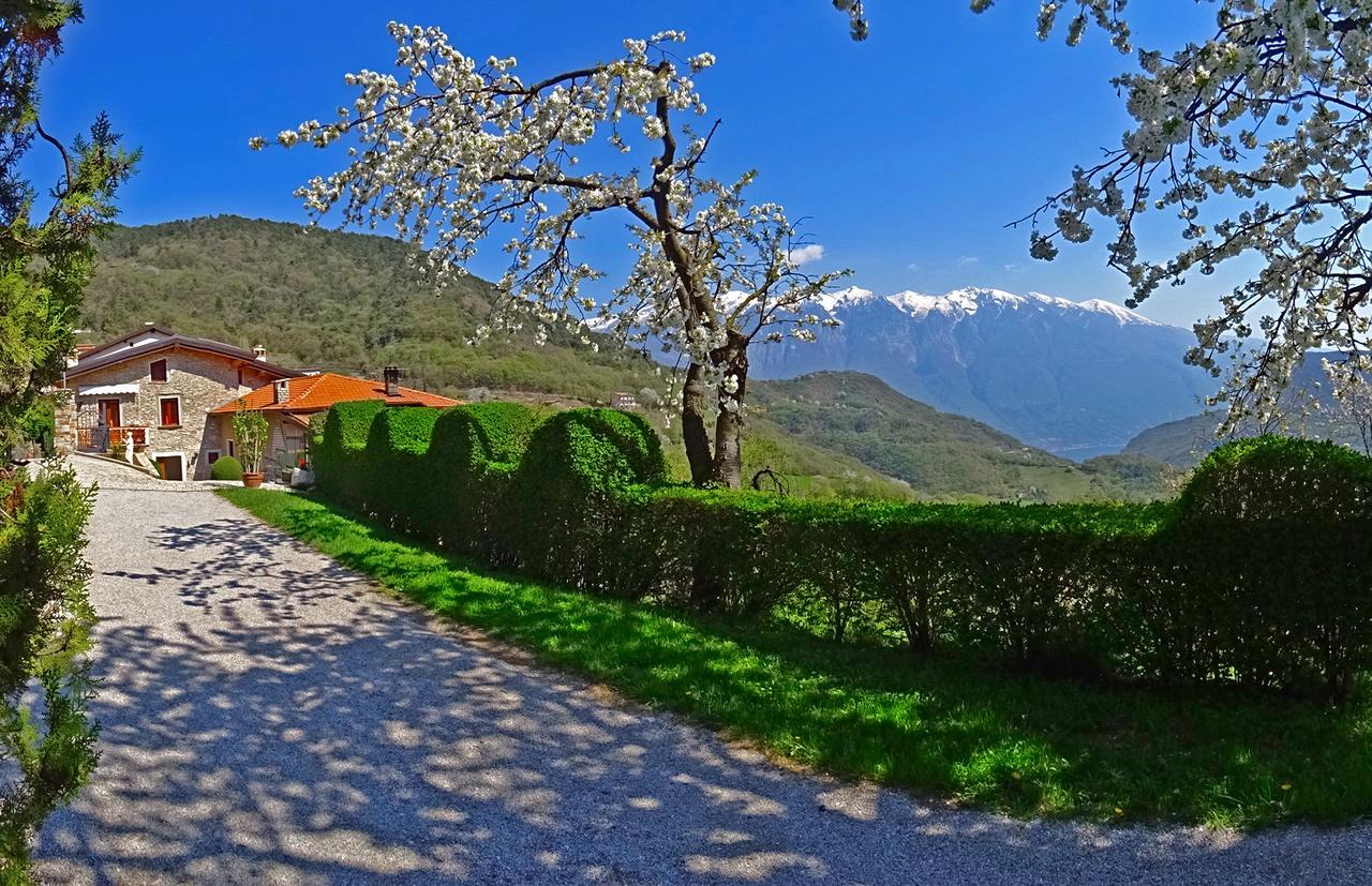Casa Belvedere Garden By Gardadomusmea Tremosine Dış mekan fotoğraf